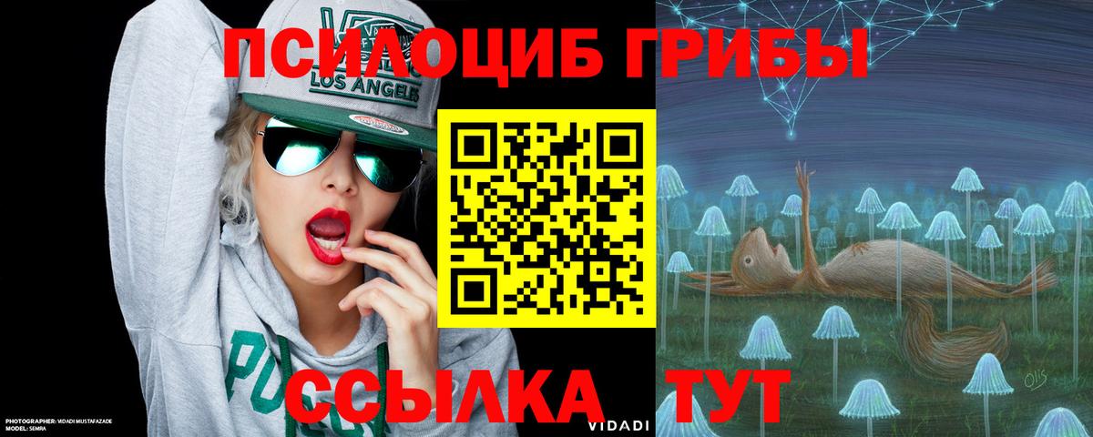 Псилоцибиновые грибы GOLDEN TEACHER  Вход с VPN  Галлюциногенные грибы Magic Shrooms  Губаха 