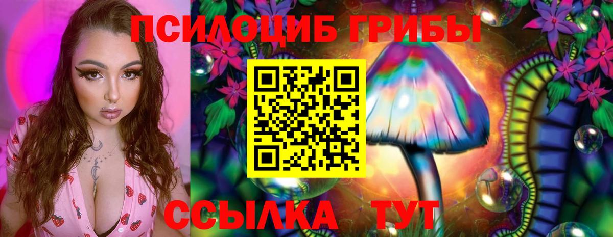 Губаха  Марихуана  Экстази  COCAIN  Вход с VPN  NBOMe  МЕФ кристаллы  Гашиш  Как найти закладки?  Alpha PVP СОЛЬ  