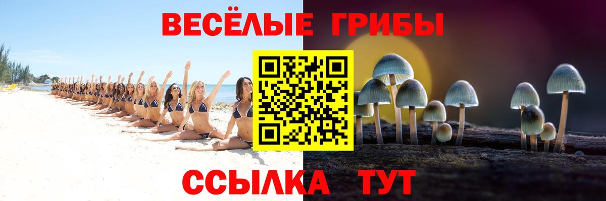 Псилоцибиновые грибы Psilocybe Губаха